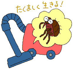 猫のワクチン接種イメージ