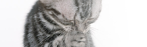 お問い合わせイメージ