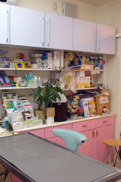 院内写真(診察室)